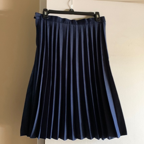 Pleated skirt is in navy blue color. - Picture 2 of 5